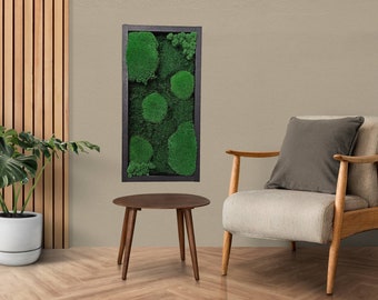 Framed Preserved Moss Art, Eco-Friendly Green Wall Decor for Natural Home