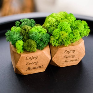 Könnte beinhalten: Zwei kleine, facettierte Pflanzgefäße aus Holz mit leuchtend grünem, konserviertem Moos. Jedes Gefäß trägt auf der Vorderseite den eingravierten Text "Enjoy Every Moment". Das Holz hat eine natürliche hellbraune Oberfläche mit sichtbarer Maserung.