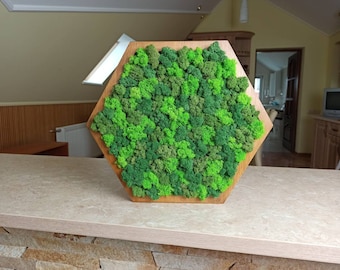 May include: A hexagonal wooden frame filled with preserved moss in various shades of green. The moss creates a dense, textured surface within the geometric border, displaying a mix of light lime, medium forest, and dark emerald green tones.