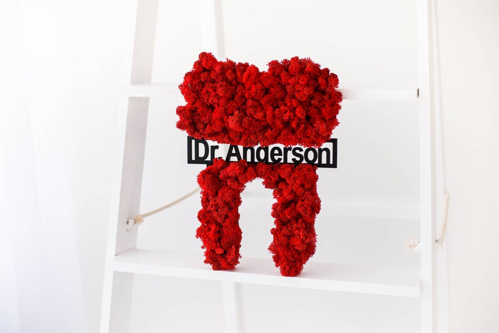 Moss tooth Dentist name sign Moss wall art Dentist gift Etsy