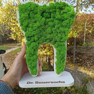 K&ouml;nnte beinhalten: Zahnf&ouml;rmige Dekoskulptur mit wei&szlig;em Sockel und leuchtend gr&uuml;ner Moosf&uuml;llung. Der rechteckige Sockel tr&auml;gt den Schriftzug "Dr. Bauersachs". Der Hintergrund ist unscharf, mit B&auml;umen.