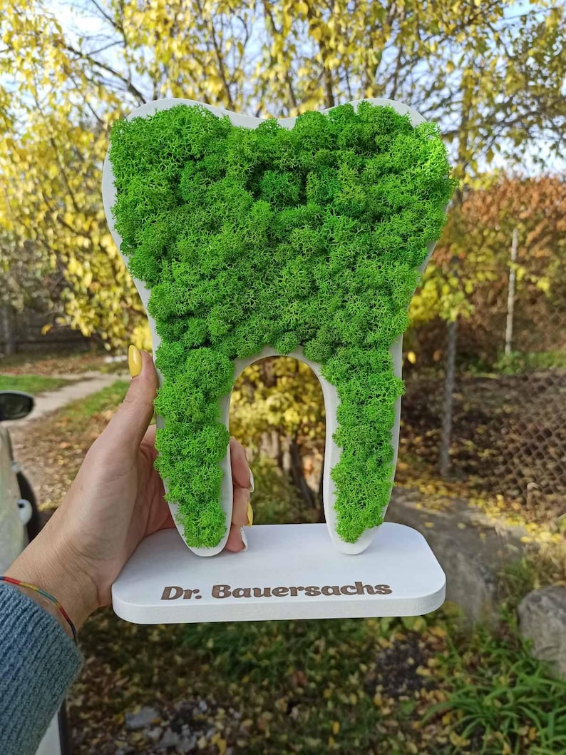 K&ouml;nnte beinhalten: Zahnf&ouml;rmige Dekoskulptur mit wei&szlig;em Sockel und leuchtend gr&uuml;ner Moosf&uuml;llung. Der rechteckige Sockel tr&auml;gt den Schriftzug "Dr. Bauersachs". Der Hintergrund ist unscharf, mit B&auml;umen.