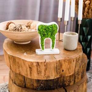 K&ouml;nnte beinhalten: Ein dekoratives, zahnf&ouml;rmiges Objekt, gef&uuml;llt mit leuchtend gr&uuml;nem Moos, steht auf einem rustikalen Holztisch. Der Tisch besteht aus gestapelten, kreisf&ouml;rmigen Holzscheiben. Kerzen, eine Schale mit dekorativen Kugeln und eine kleine Kerze sind ebenfalls vorhanden.