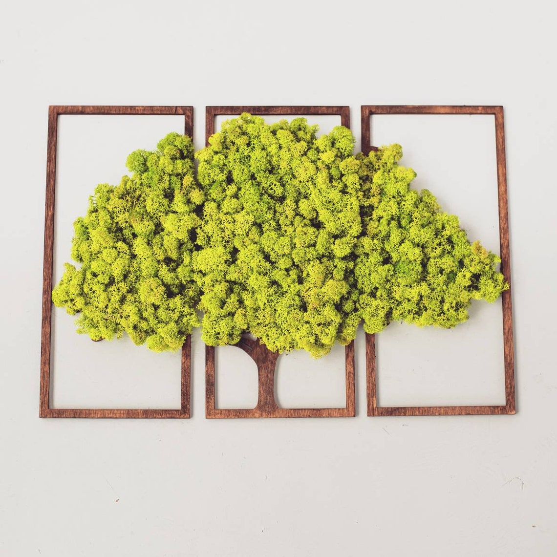 Modular art Moss wall art Real Moss decor Triptych art Etsy