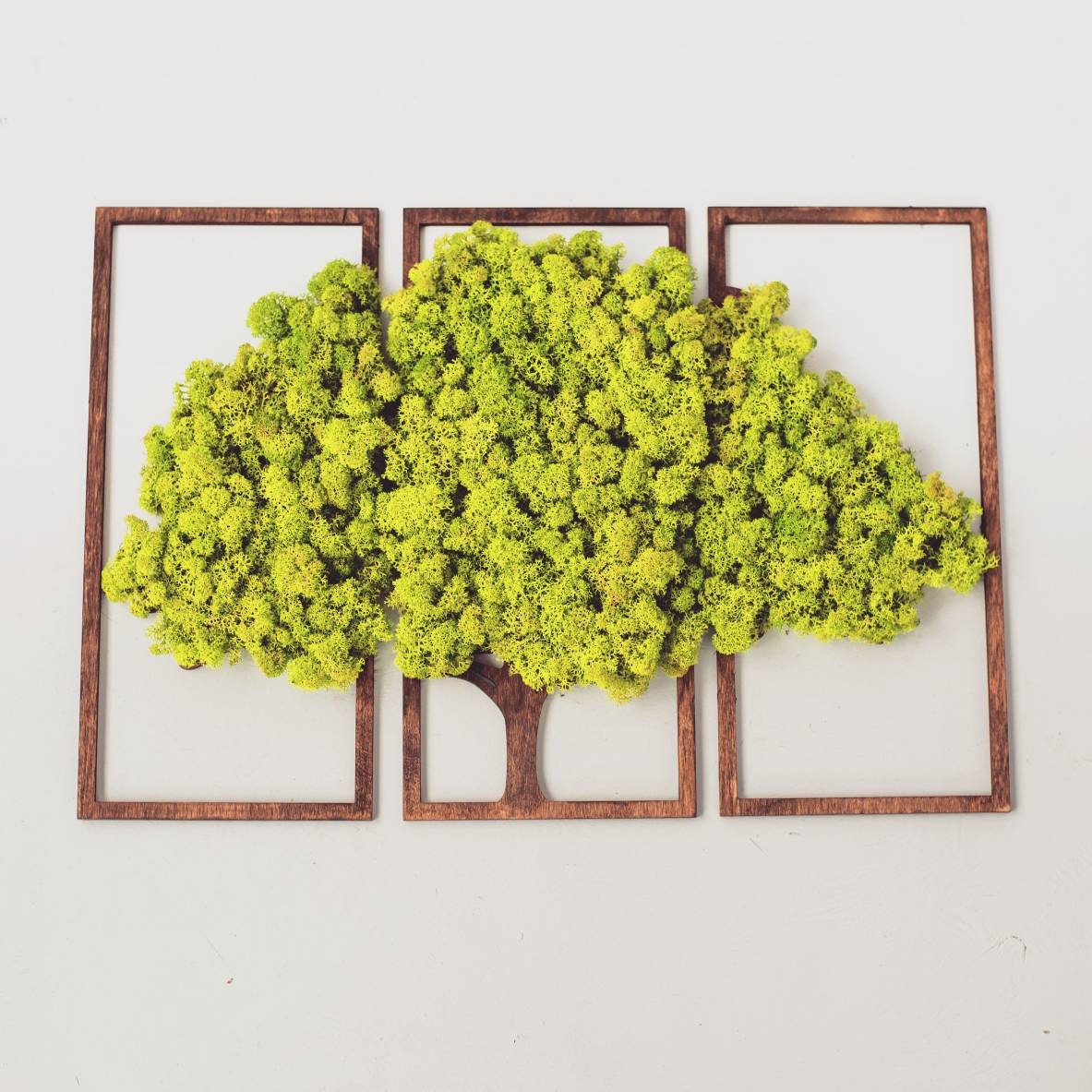 Modular art Moss wall art Real Moss decor Triptych art Etsy