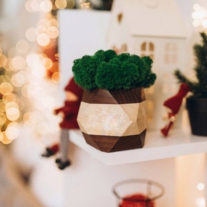 Preserved Moss Pot: Thermowood Planter, Nature Room Decor