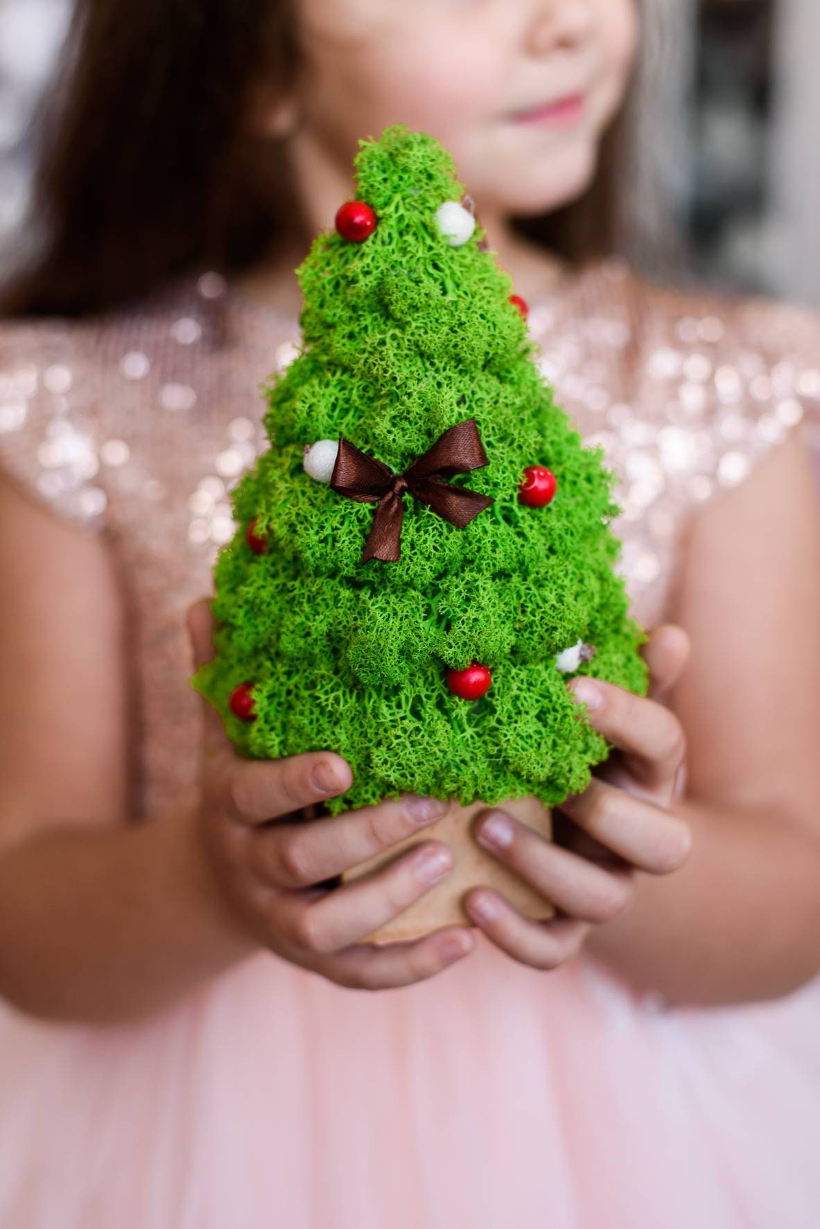 Tabletop Xmas Tree Preserved Moss Christmas Home Decor Etsy