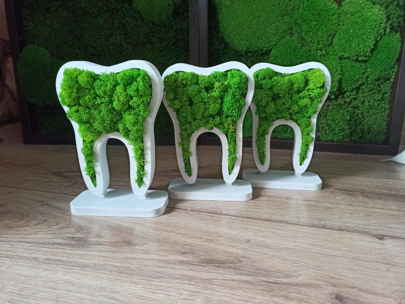 K&ouml;nnte beinhalten: Drei dekorative Zahnskulpturen mit wei&szlig;en Rahmen und Sockeln, gef&uuml;llt mit leuchtend gr&uuml;nem Moos. Die Skulpturen sind auf einer Holzoberfl&auml;che angeordnet, mit einem gr&uuml;nen Moos-Hintergrund.