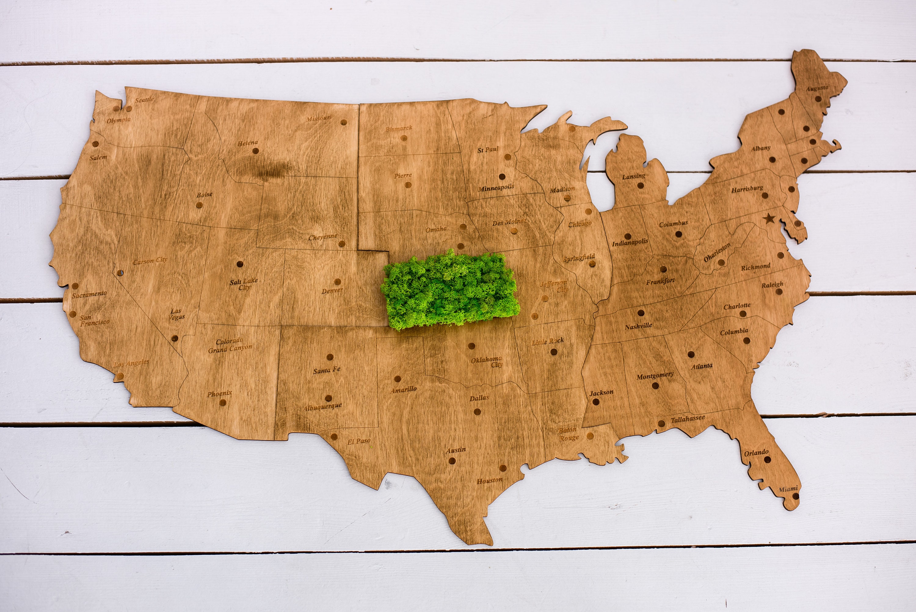 Moss map Wood map of United States Wall moss art Wooden map Etsy
