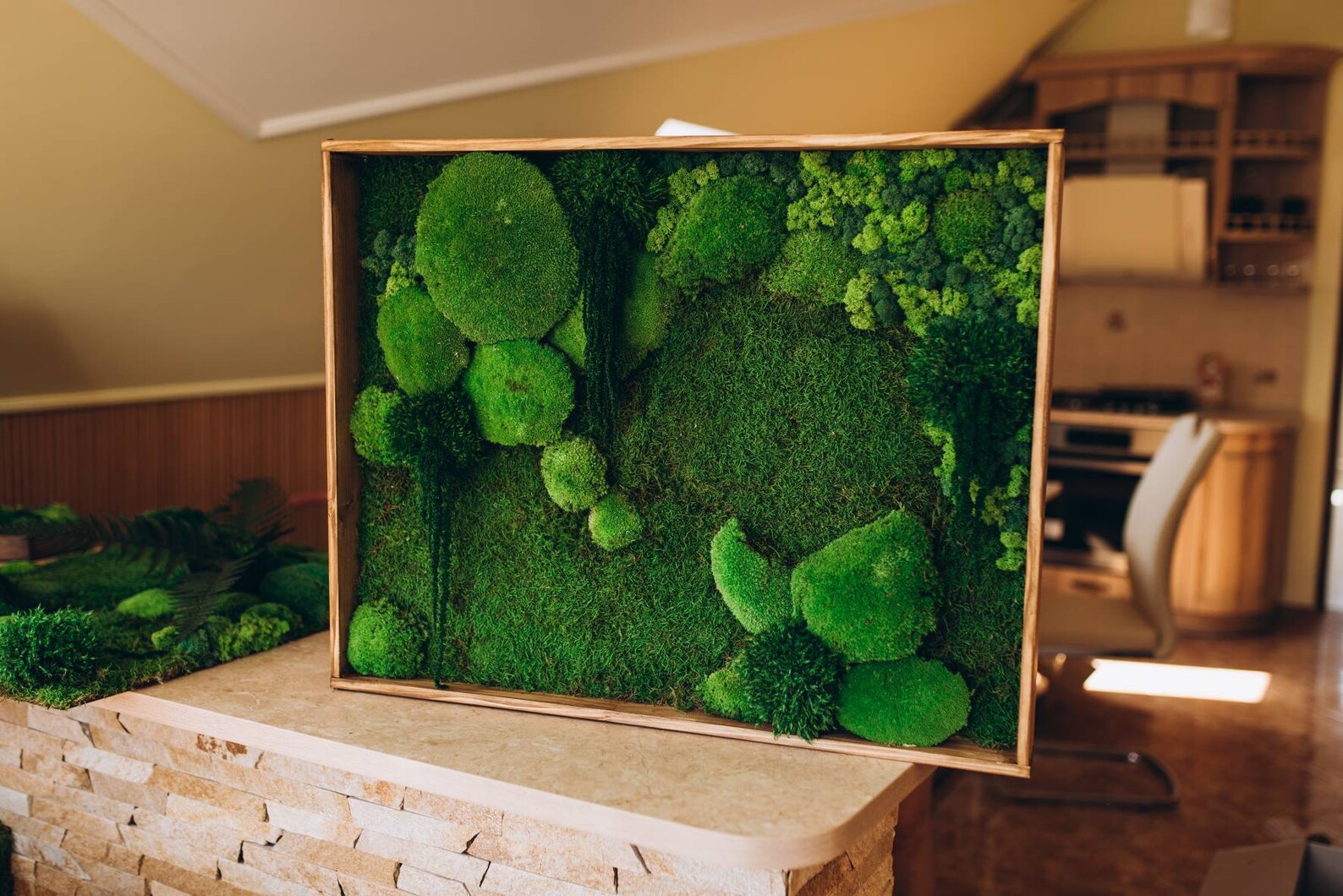 Moss Wall Hanging Moss Frame Moss Wall Art Live Moss Wall Etsy