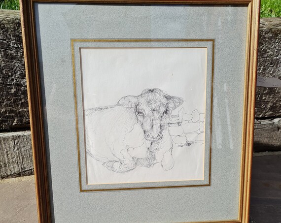 Pencil Sketch of a Seated Bullock by Sarah Gunner.  Mounted and Framed.