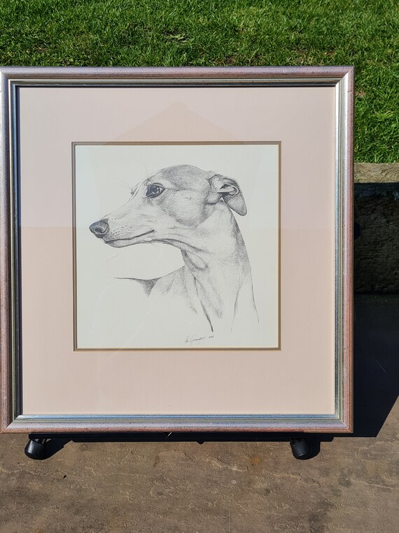 Original Pencil Drawing of a Greyhound by Vic Granger, Singed, Framed and Mounted.