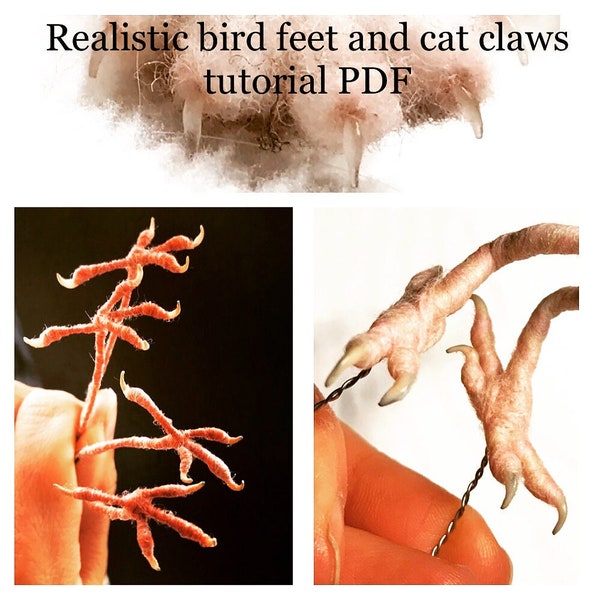 Realistic bird feet and cats claws digital download PDF tutorial for sculpting and needle felting projects