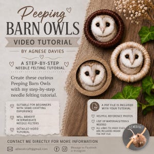 May include: A video tutorial for crafting needle-felted barn owls. The image displays three finished owl creations with white and brown felted faces, each in a different circular frame. Text on the left details the tutorial.
