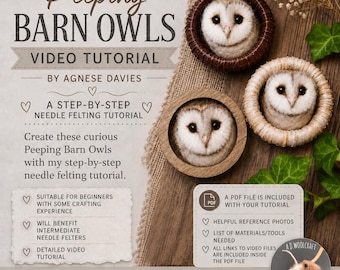 Realistic Peeping Barn Owl Needle Felting Tutorial (PDF Download)