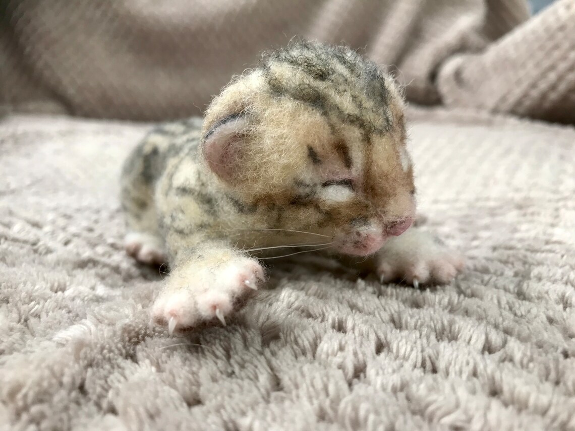 Realistic Bird Feet and Cats Claws Digital Download PDF Tutorial for