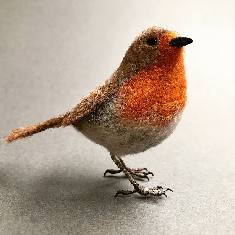 Realistic Bird Feet and Cats Claws Digital Download PDF Tutorial for