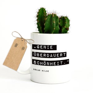Genie vor Schönheit - Tasse mit Spruch, Heiteres Geschenk, Motivation Kaffeetasse, Witziges Geschenk Eltern, Geschenkidee Tante Onkel