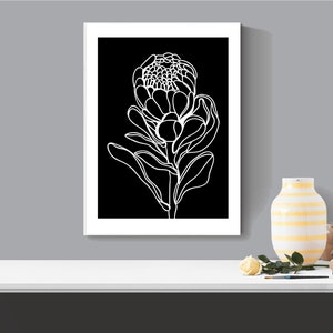 Black and White Protea Flower Wall Art a4 print Australian Artist Minimal Art Prints great for home and office Free Shipping image 2