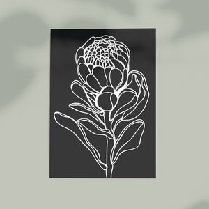 Black and White Protea Flower Wall Art a4 print Australian Artist Minimal Art Prints great for home and office Free Shipping image 5