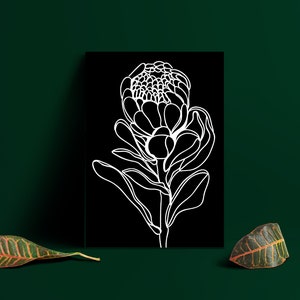 Black and White Protea Flower Wall Art a4 print Australian Artist Minimal Art Prints great for home and office Free Shipping image 7