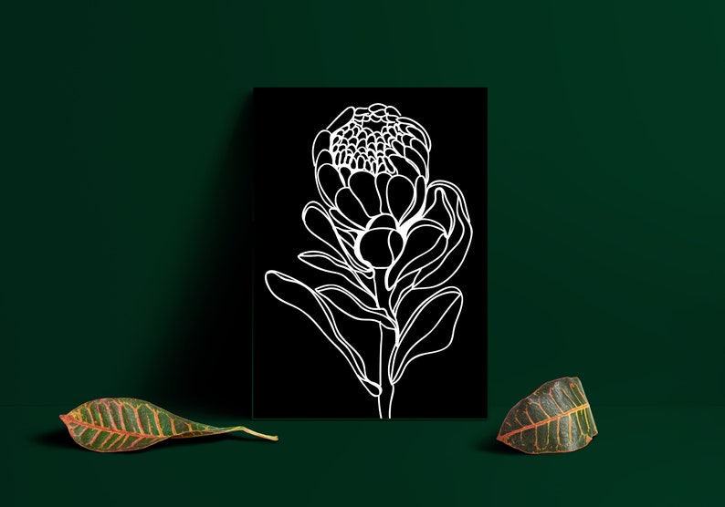 Black and White Protea Flower Wall Art a4 print Australian Artist Minimal Art Prints great for home and office Free Shipping image 7