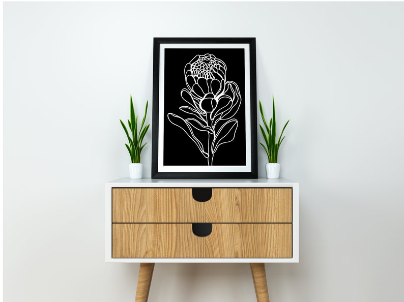 Black and White Protea Flower Wall Art a4 print Australian Artist Minimal Art Prints great for home and office Free Shipping image 3