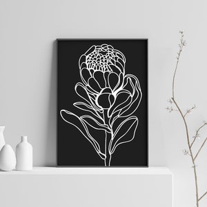 Black and White Protea Flower Wall Art a4 print Australian Artist Minimal Art Prints great for home and office Free Shipping image 6