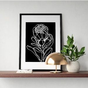 Black and White Protea Flower Wall Art a4 print Australian Artist Minimal Art Prints great for home and office Free Shipping image 8