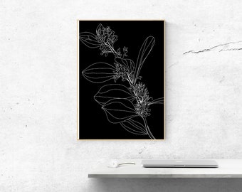 Väggtavla med australisk Hakea-blomma i svartvitt - A4-storlek - 210 x 297 mm (8,3 x 11,7 tum)