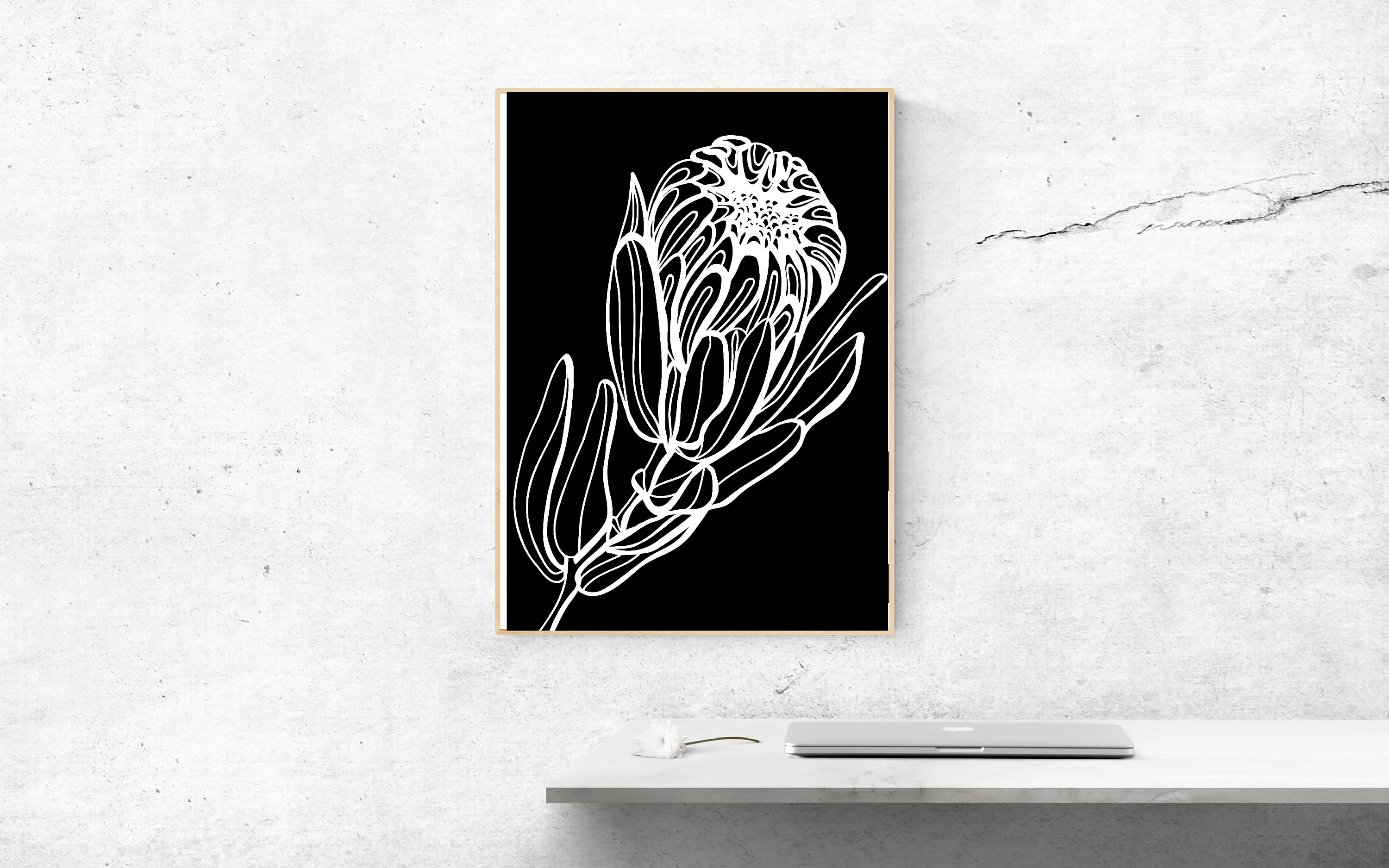 Black and White Protea Flower Wall Art 2 a4 Print Etsy