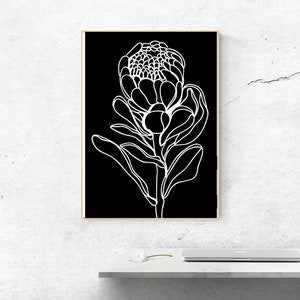 Black and White Protea Flower Wall Art - a4 print - Australian Artist Minimal Art Prints great for home and office - Free Shipping