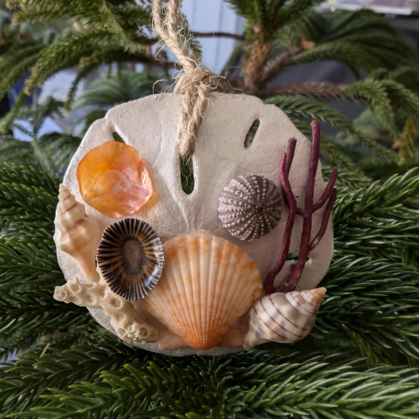 Sand Dollar and Seashell Christmas Ornament. - Etsy
