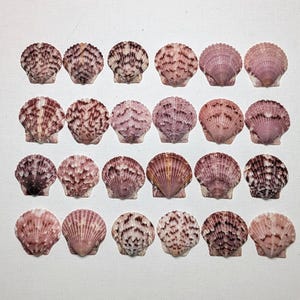 Puede incluir: Un juego de tres tazas de cerámica con un acabado moteado y mate. Cada taza presenta un color diferente: azul claro, crema y gris. Las tazas tienen un diseño simple y moderno y un asa cómoda.