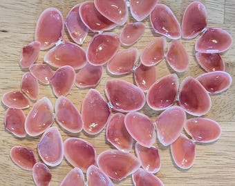ピンクホタテ貝、天然貝殻 - Ark Clam Shells - クラフト用品 - Etsy 日本
