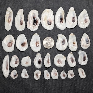 May include: A set of three ceramic mugs with a speckled, matte finish. Each mug features a different color: light blue, cream, and gray. The mugs have a simple, modern design and a comfortable handle.