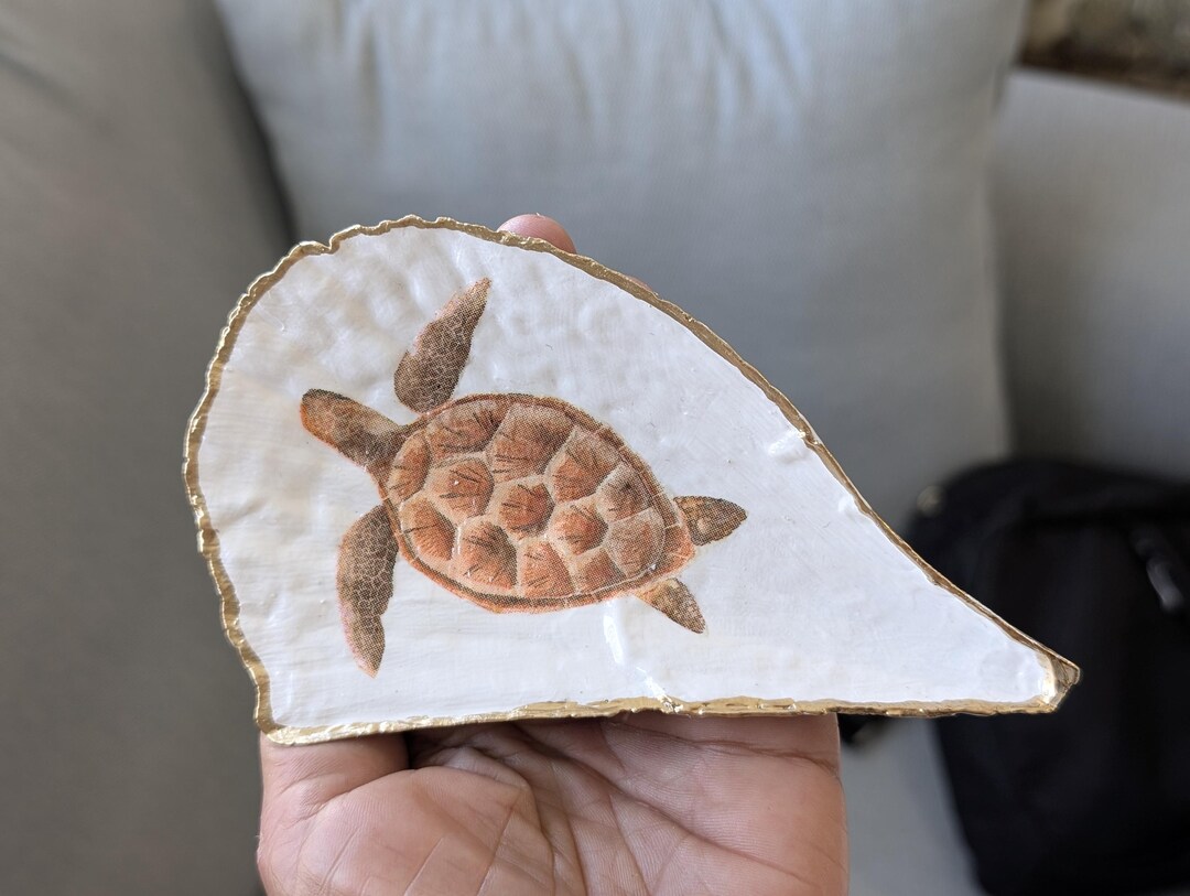 Sea Creatures on Penn Shells. - Etsy