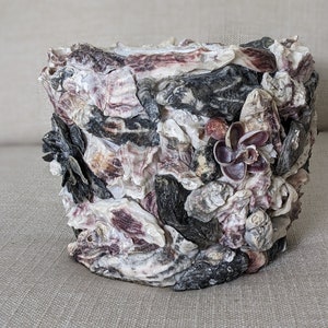 Może przedstawiać: Dekoracyjna doniczka wykonana z muszli. Doniczka jest wykonana z różnych rodzajów muszli, w tym muszli ostryg, muszli św. Jakuba i muszli trąbki morskiej. Doniczka jest jasnobrązowa z odcieniami różowego i fioletowego. Doniczka to unikalny i piękny sposób na dodanie odrobiny oceanu do domu.