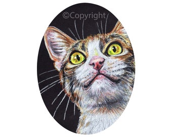 Drawing of a Tabby Cat On a Black Background Fine Art Print