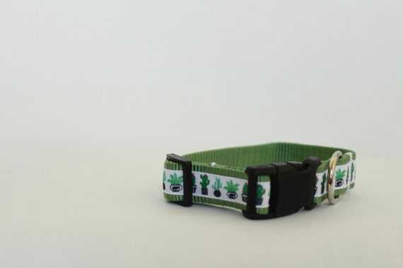 succulent dog collar