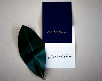 Handwritten place cards / Wedding Seating Cards / Calligraphy Place Cards