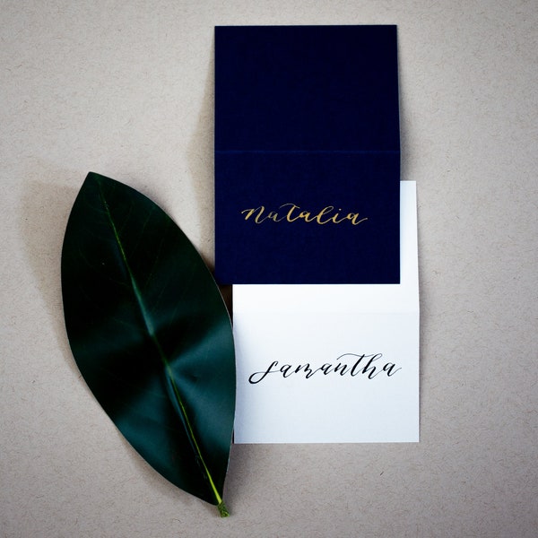 Handwritten place cards / Wedding Seating Cards / Calligraphy Place Cards