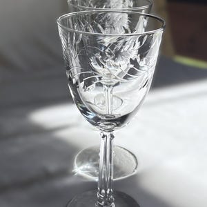 May include: A row of clear, etched wine glasses. Each glass has a round base, a long stem, and a bowl with a floral design. The glasses are arranged in a line, with the first glass in focus.