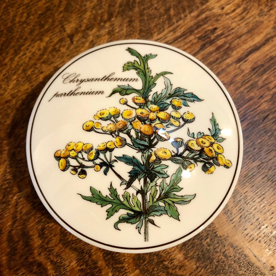 Jewelry Box Vintage Villeroy and Boch Botanica Candy Box Etsy