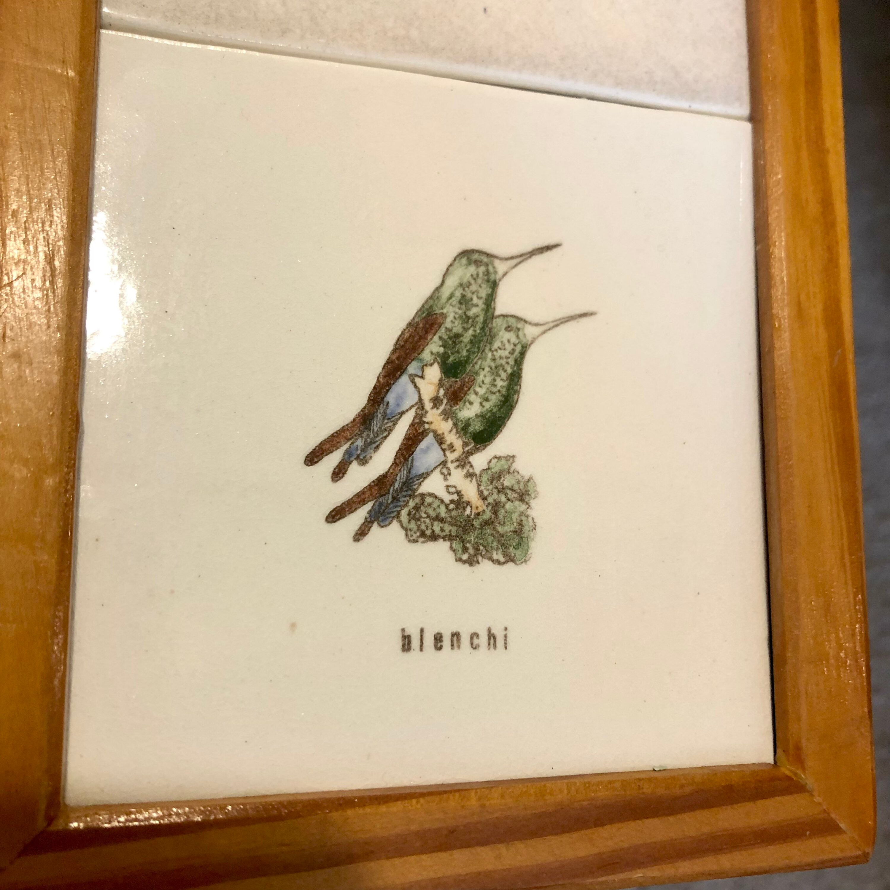 Vintage Framed Tiles Wall Decor Hanging Curaçao Bird Tiles Etsy