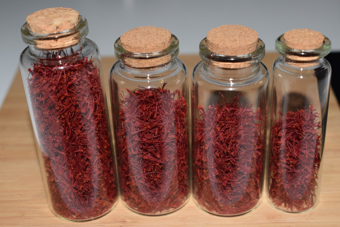 10 Extra Large Saffron Bulbs Fresh Breeder Saffron Bulbs Etsy