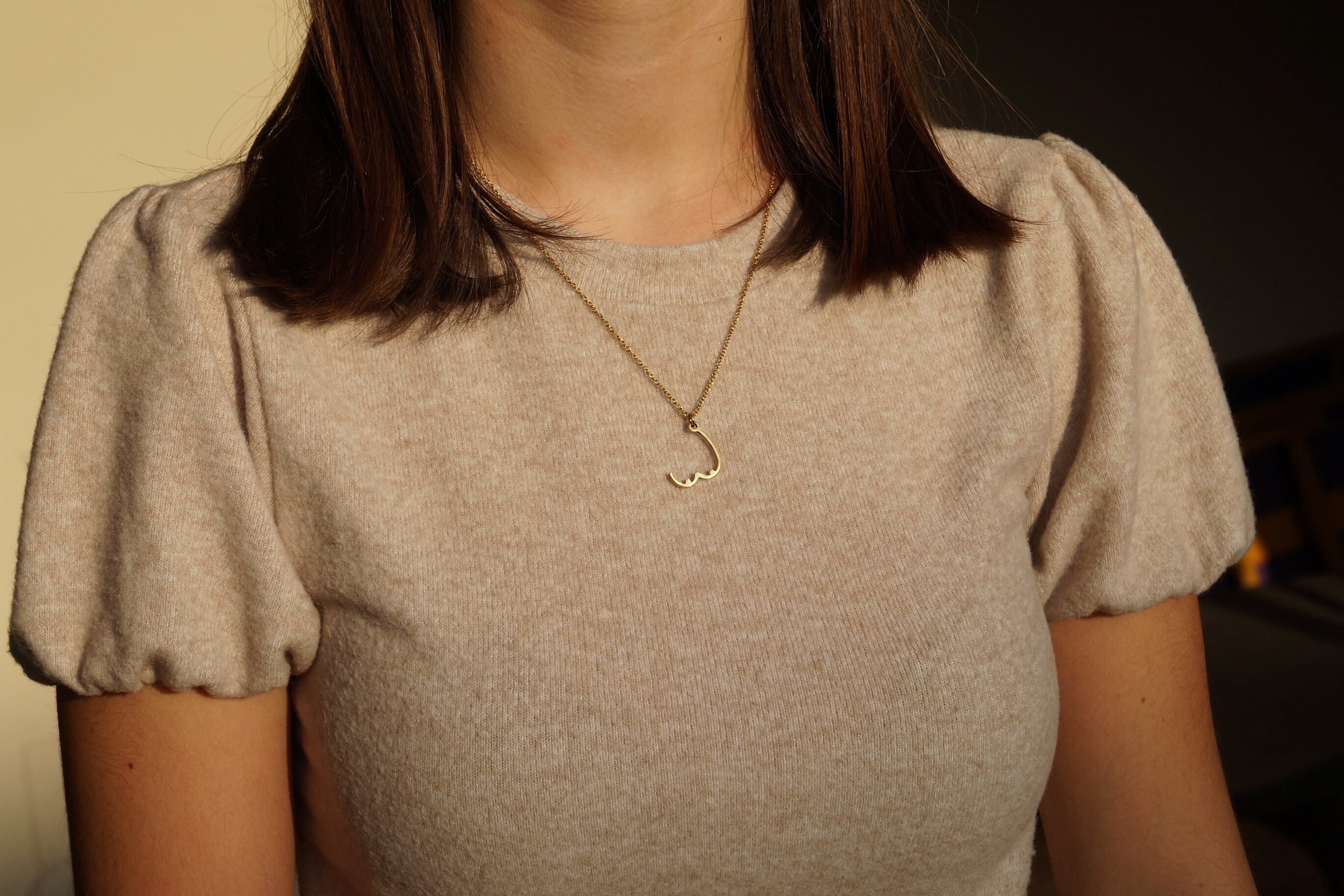Collier Qui Descend Sur La Poitrine
