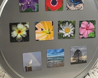May include: A collection of square magnets featuring floral and nature-themed designs. The magnets display images of flowers, a butterfly, a seagull, a beach scene, and a tree. The word "Magnets" is printed at the bottom.