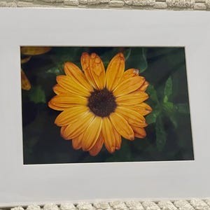 Yellow flower 5x7 print in 8x10 white mat