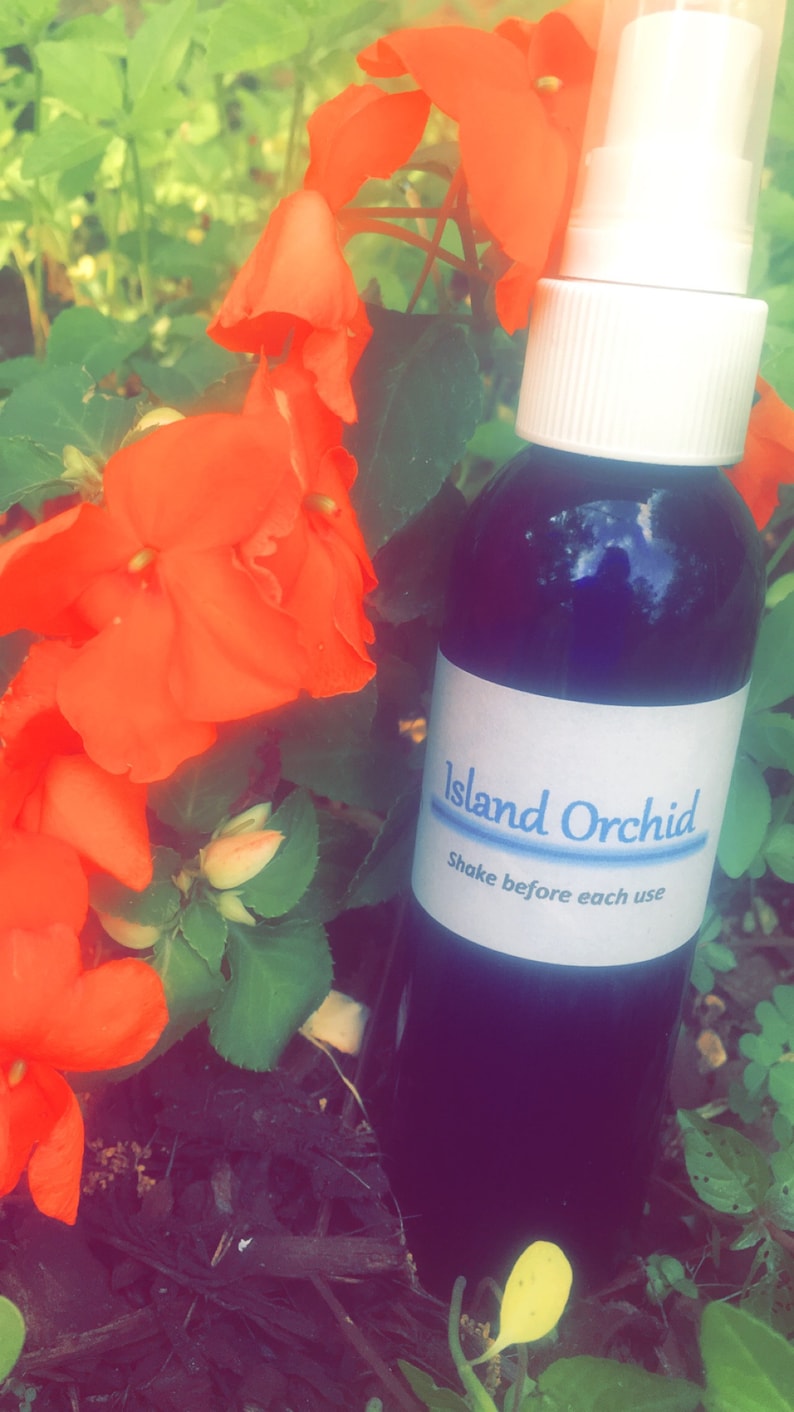 Homemade Car and Air Freshener Spray Etsy